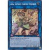 Quarter Century Stampede - Aussa the Earth Charmer, Immovable