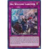 Quarter Century Stampede - Big Welcome Labrynth