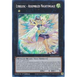 Quarter Century Stampede - Lyrilusc - Assembled Nightingale