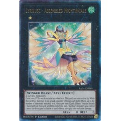 Quarter Century Stampede - Lyrilusc - Assembled Nightingale