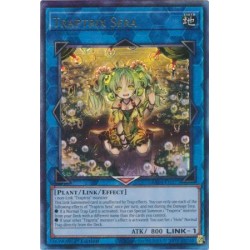 Quarter Century Stampede - Traptrix Sera