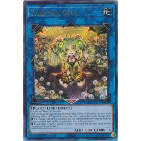Quarter Century Stampede - Traptrix Sera