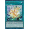 Quarter Century Stampede - Drytron Nova