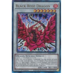 Quarter Century Stampede - Black Rose Dragon