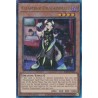 Quarter Century Stampede - Chamber Dragonmaid