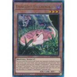 Quarter Century Stampede - Danger!? Tsuchinoko?