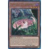 Quarter Century Stampede - Danger!? Tsuchinoko?