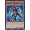 Quarter Century Stampede - Gagaga Magician
