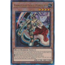 Quarter Century Stampede - Vanquish Soul Pantera