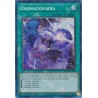 Quarter Century Stampede - Onomatopaira