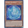 Quarter Century Stampede - Astral Kuriboh