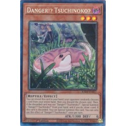 Quarter Century Stampede - Danger!? Tsuchinoko?