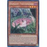 Quarter Century Stampede - Danger!? Tsuchinoko?