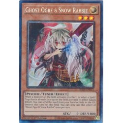 Quarter Century Stampede - Ghost Ogre & Snow Rabbit