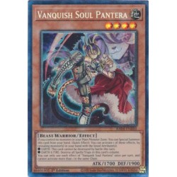Quarter Century Stampede - Vanquish Soul Pantera