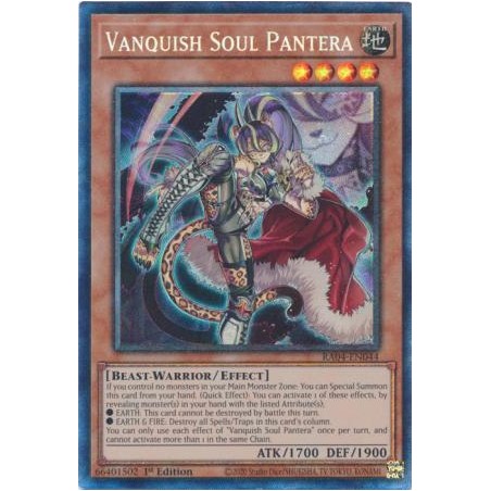 Quarter Century Stampede - Vanquish Soul Pantera