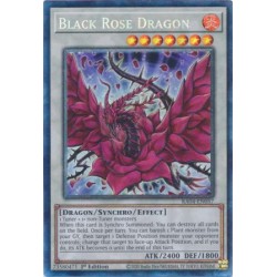 Quarter Century Stampede - Black Rose Dragon