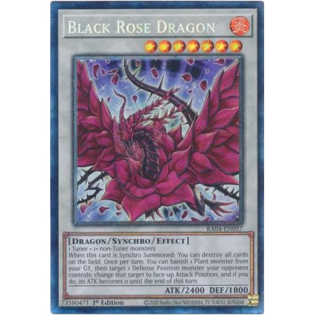 Quarter Century Stampede - Black Rose Dragon