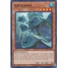 Alliance Insight - Aspischool