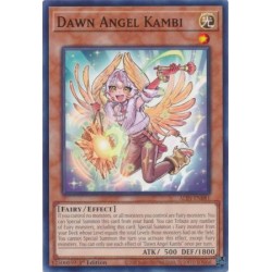 Alliance Insight - Dawn Angel Kambi