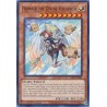Alliance Insight - Hrimnir the Divine Follower