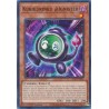 Alliance Insight - Kurikurinku @Ignister