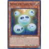 Alliance Insight - Spore the Fairy Seed