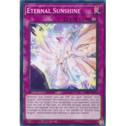Alliance Insight - Eternal Sunshine
