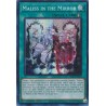 Alliance Insight - Maliss in the Mirror
