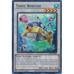 Alliance Insight - Toxic Boxfish