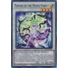 Alliance Insight - Poplar of the White Forest