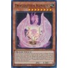 Alliance Insight - Dragolithia Kunzite