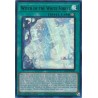 Alliance Insight - Witch of the White Forest