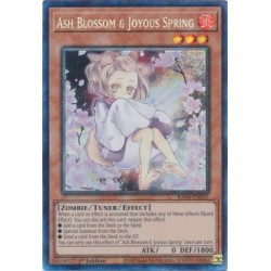 Quarter Century Stampede - Ash Blossom & Joyous Spring