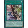 Battles of Legend: Monster Mayhem - Dragonmaid Welcome