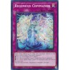 Duelist's Advance - Regenesis Commands
