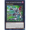 Duelist's Advance - Vallon, the Super Psy Skyblaster