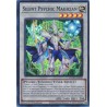 Duelist's Advance - Silent Psychic Magician
