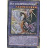 Mega Tin 2025 - Light and Darkness Dragonlord