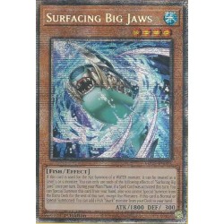 Mega Tin 2025 - Surfacing Big Jaws