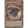 Mega Tin 2025 - Red Rose Dragon