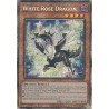 Mega Tin 2025 - White Rose Dragon