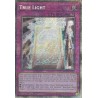 Mega Tin 2025 - True Light