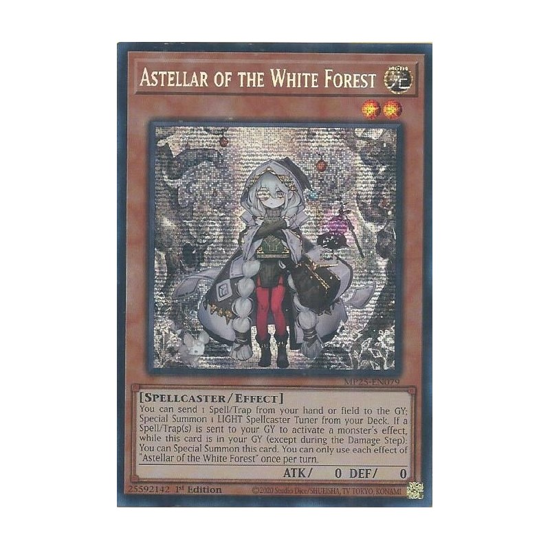 Mega Tin 2025 - Astellar of the White Forest