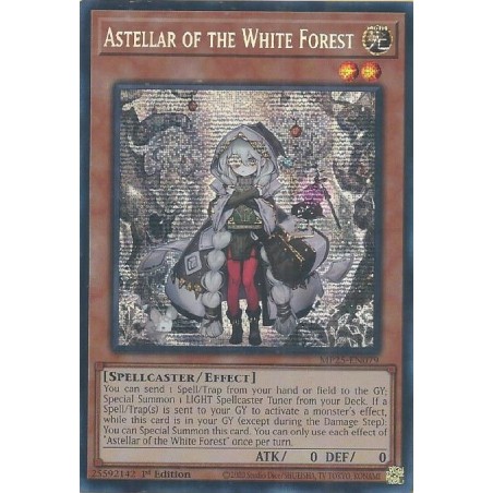 Mega Tin 2025 - Astellar of the White Forest