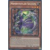 Mega Tin 2025 - Mementotlan Shleepy