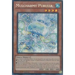 Mega Tin 2025 - Mulcharmy Purulia