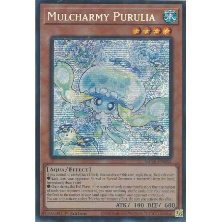 Mega Tin 2025 - Mulcharmy Purulia