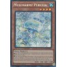 Mega Tin 2025 - Mulcharmy Purulia