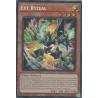 Mega Tin 2025 - Ext Ryzeal
